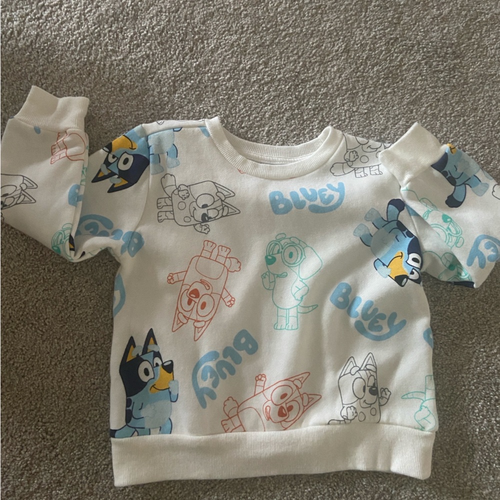 *New, never worn* Bluey and friends toddler crewneck